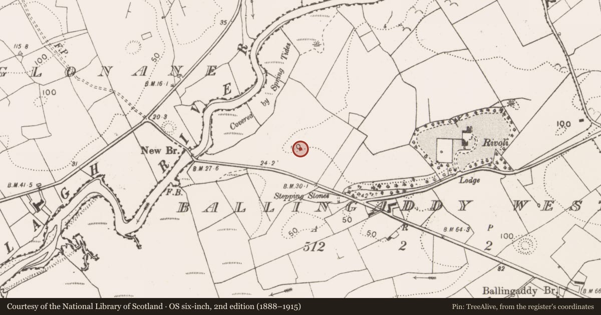 Ordnance Survey six-inch map, 2nd edition (1888–1915) covering the location of Standing stone, Killaspuglonane, County Clare, with a pin at the register's coordinates