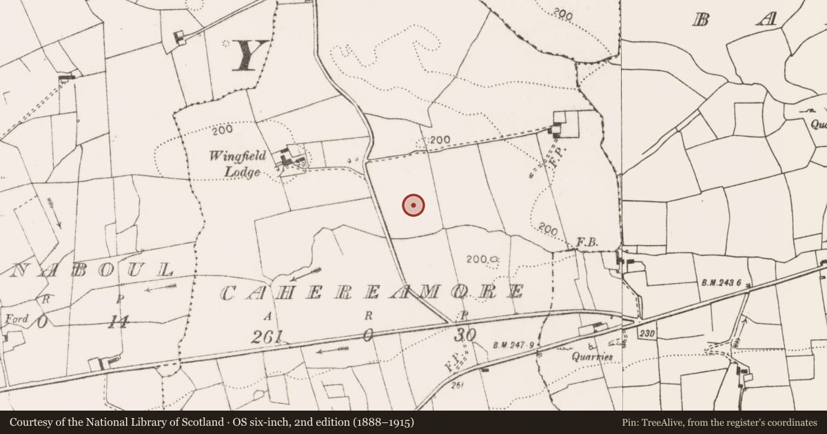 Ordnance Survey six-inch map, 2nd edition (1888–1915) covering the location of Fulacht fia, Cahereamore, County Clare, with a pin at the register's coordinates
