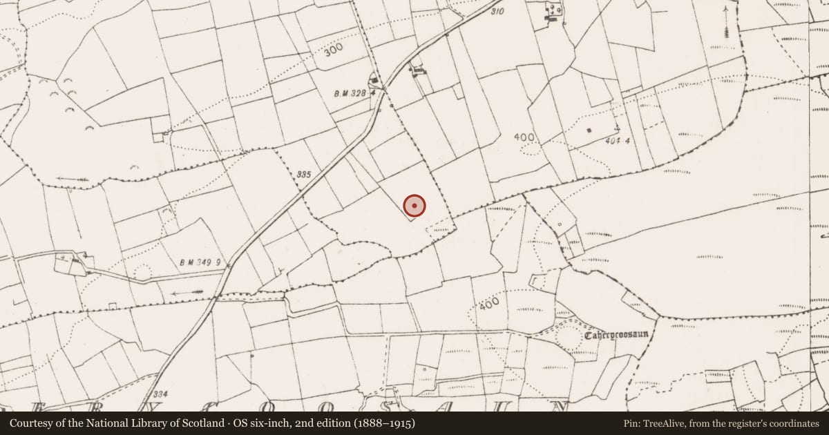 Ordnance Survey six-inch map, 2nd edition (1888–1915) covering the location of Fulacht fia, Gortnaboul, County Clare, with a pin at the register's coordinates