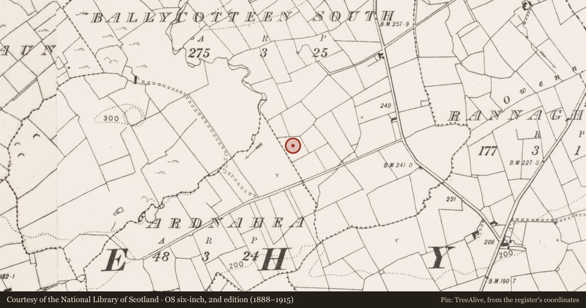 Ordnance Survey six-inch map, 2nd edition (1888–1915) covering the location of Enclosure, Ballycotteen South, County Clare, with a pin at the register's coordinates