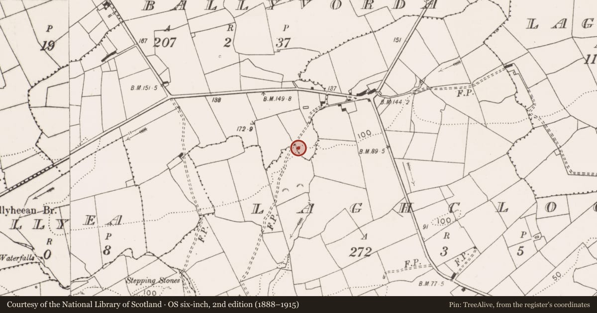 Ordnance Survey six-inch map, 2nd edition (1888–1915) covering the location of Rock art, Ballyvorda, County Clare, with a pin at the register's coordinates