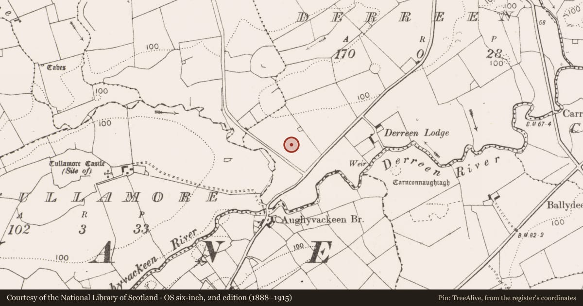 Ordnance Survey six-inch map, 2nd edition (1888–1915) covering the location of Enclosure, Derreen, County Clare, with a pin at the register's coordinates