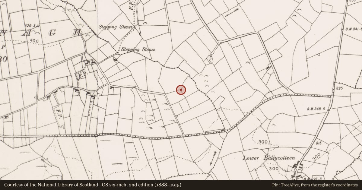 Ordnance Survey six-inch map, 2nd edition (1888–1915) covering the location of Ringfort - rath, Caherbarnagh, County Clare, with a pin at the register's coordinates