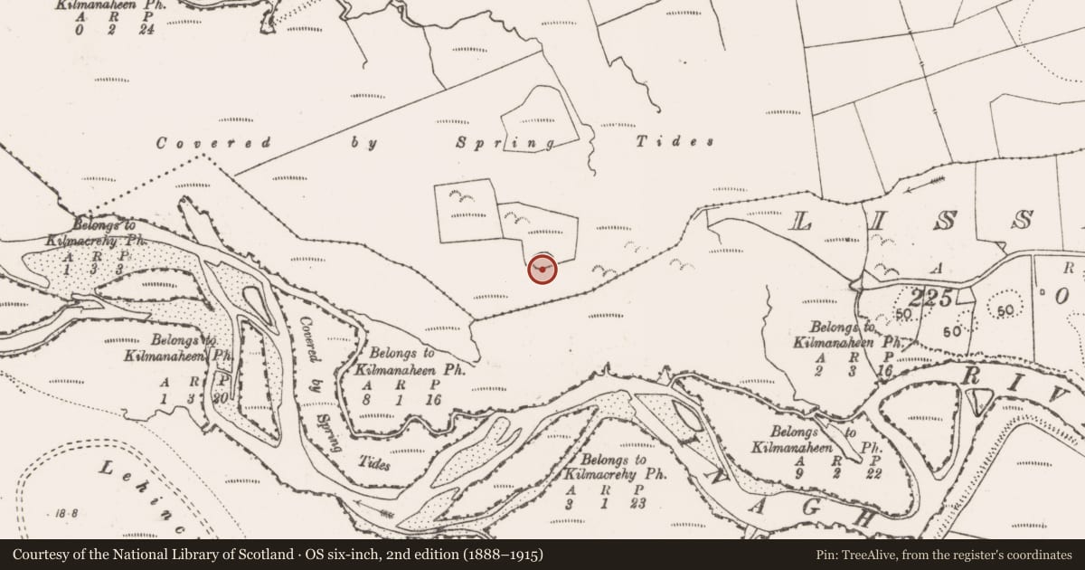 Ordnance Survey six-inch map, 2nd edition (1888–1915) covering the location of Enclosure, Ballingaddy West, County Clare, with a pin at the register's coordinates