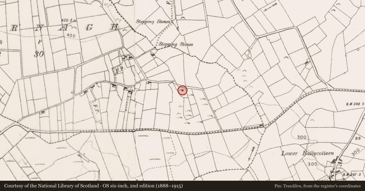 Ordnance Survey six-inch map, 2nd edition (1888–1915) covering the location of Megalithic tomb - wedge tomb, Caherbarnagh, County Clare, with a pin at the register's coordinates