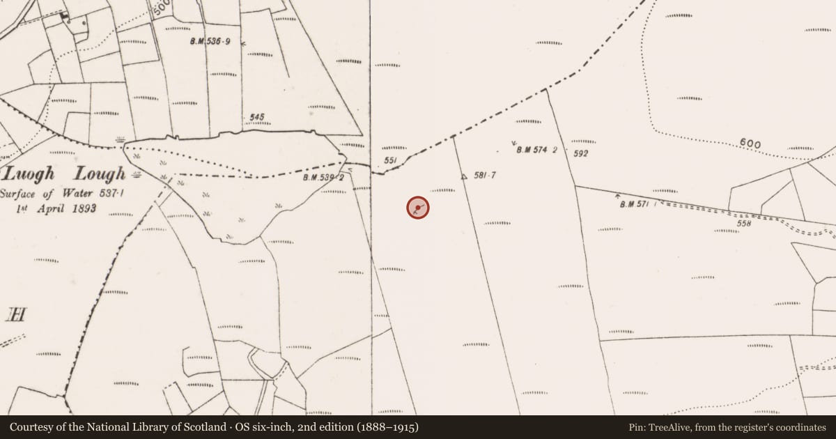 Ordnance Survey six-inch map, 2nd edition (1888–1915) covering the location of Field boundary, Ballycotteen North, County Clare, with a pin at the register's coordinates