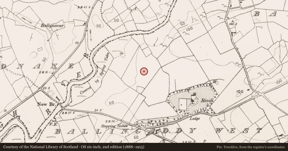 Ordnance Survey six-inch map, 2nd edition (1888–1915) covering the location of Standing stone, Ballingaddy West, County Clare, with a pin at the register's coordinates