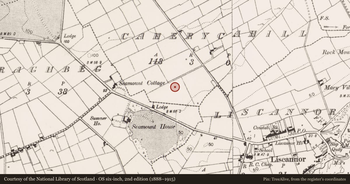 Ordnance Survey six-inch map, 2nd edition (1888–1915) covering the location of Ringfort - rath, Caherycahill, County Clare, with a pin at the register's coordinates