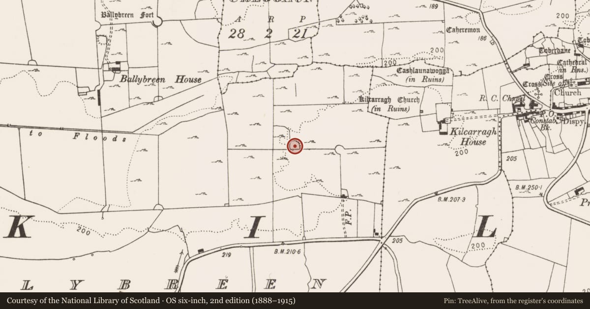 Ordnance Survey six-inch map, 2nd edition (1888–1915) covering the location of Ringfort - cashel, Ballybreen, County Clare, with a pin at the register's coordinates