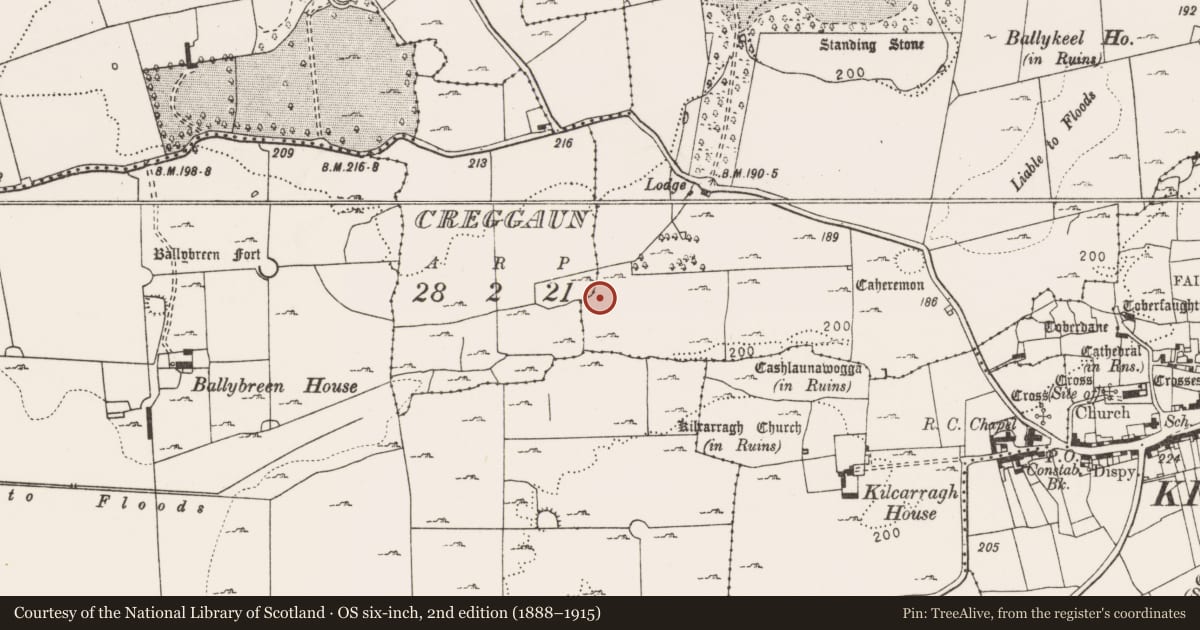 Ordnance Survey six-inch map, 2nd edition (1888–1915) covering the location of Rock scribing - folk art, Ballykeel South, County Clare, with a pin at the register's coordinates