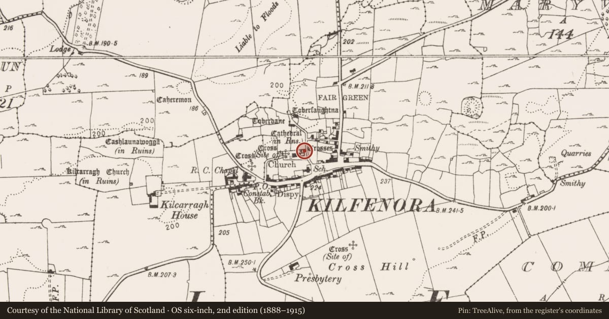 Ordnance Survey six-inch map, 2nd edition (1888–1915) covering the location of Cross - High cross, Kilfenora, County Clare, with a pin at the register's coordinates