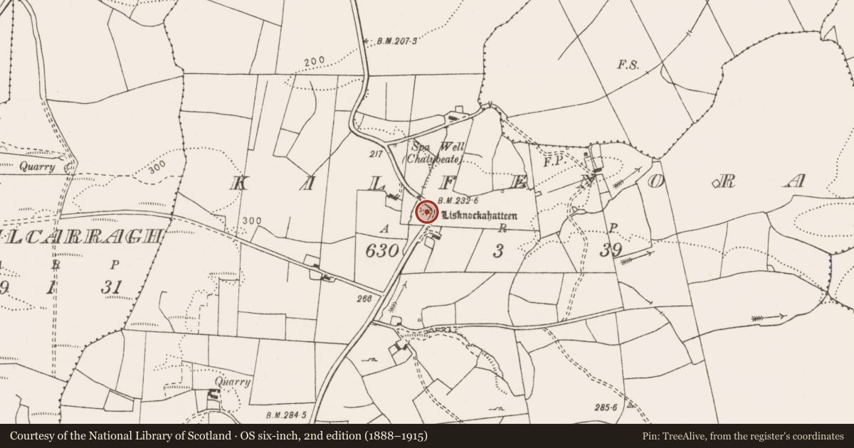 Ordnance Survey six-inch map, 2nd edition (1888–1915) covering the location of Ringfort - rath, Kilfenora, County Clare, with a pin at the register's coordinates