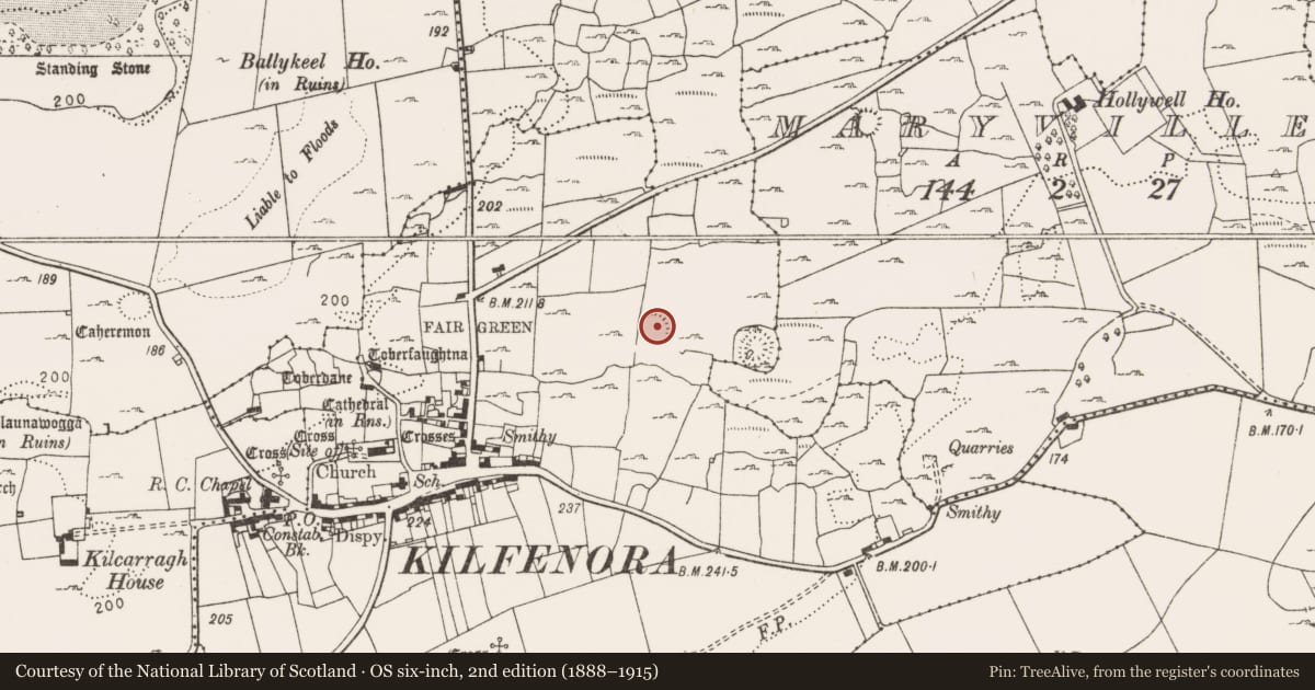 Ordnance Survey six-inch map, 2nd edition (1888–1915) covering the location of Ringfort - cashel, Kilfenora, County Clare, with a pin at the register's coordinates