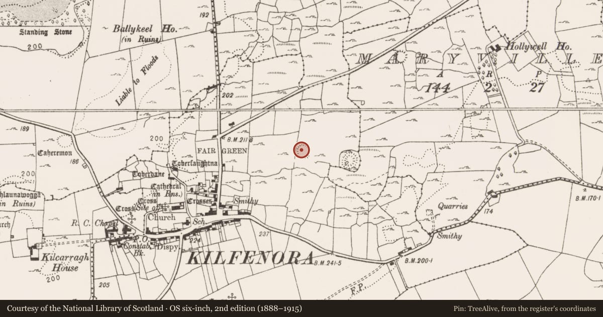 Ordnance Survey six-inch map, 2nd edition (1888–1915) covering the location of Enclosure, Kilfenora, County Clare, with a pin at the register's coordinates