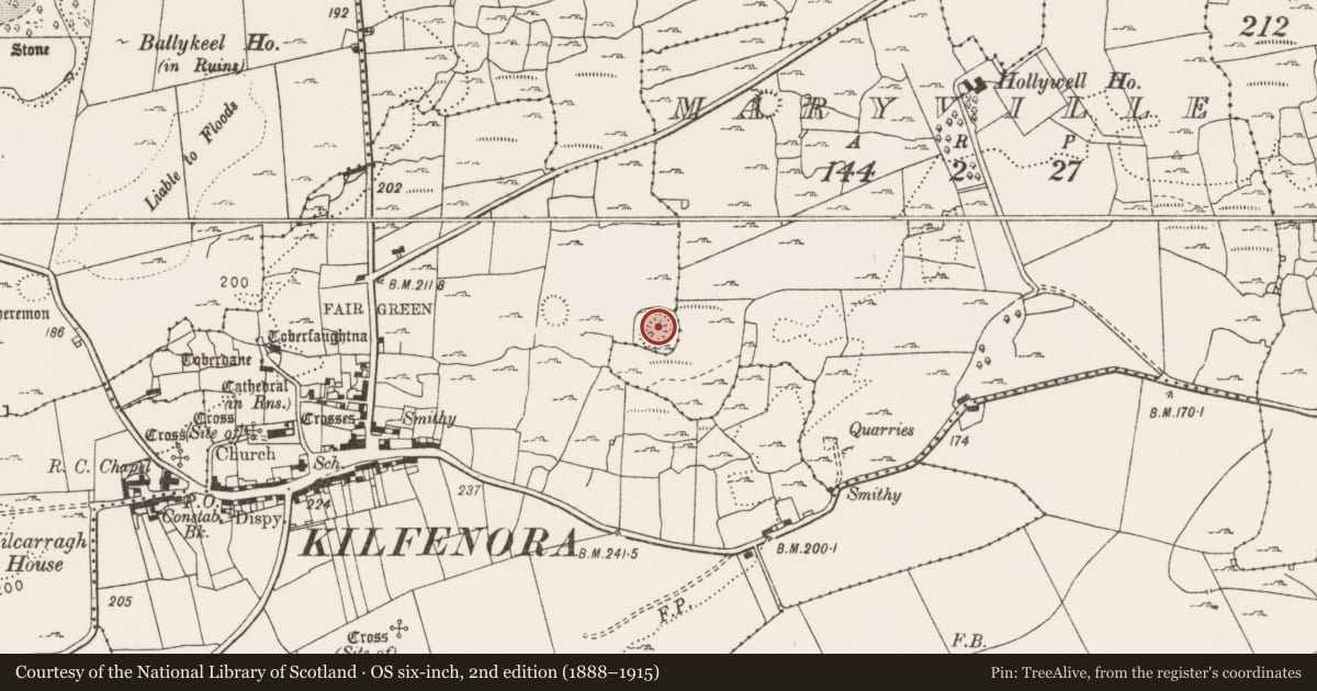 Ordnance Survey six-inch map, 2nd edition (1888–1915) covering the location of Ringfort - cashel, Kilfenora, County Clare, with a pin at the register's coordinates