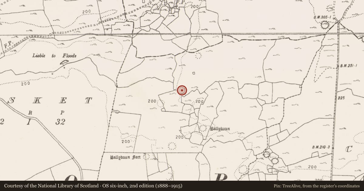 Ordnance Survey six-inch map, 2nd edition (1888–1915) covering the location of Ringfort - cashel, Ballybaun, County Clare, with a pin at the register's coordinates