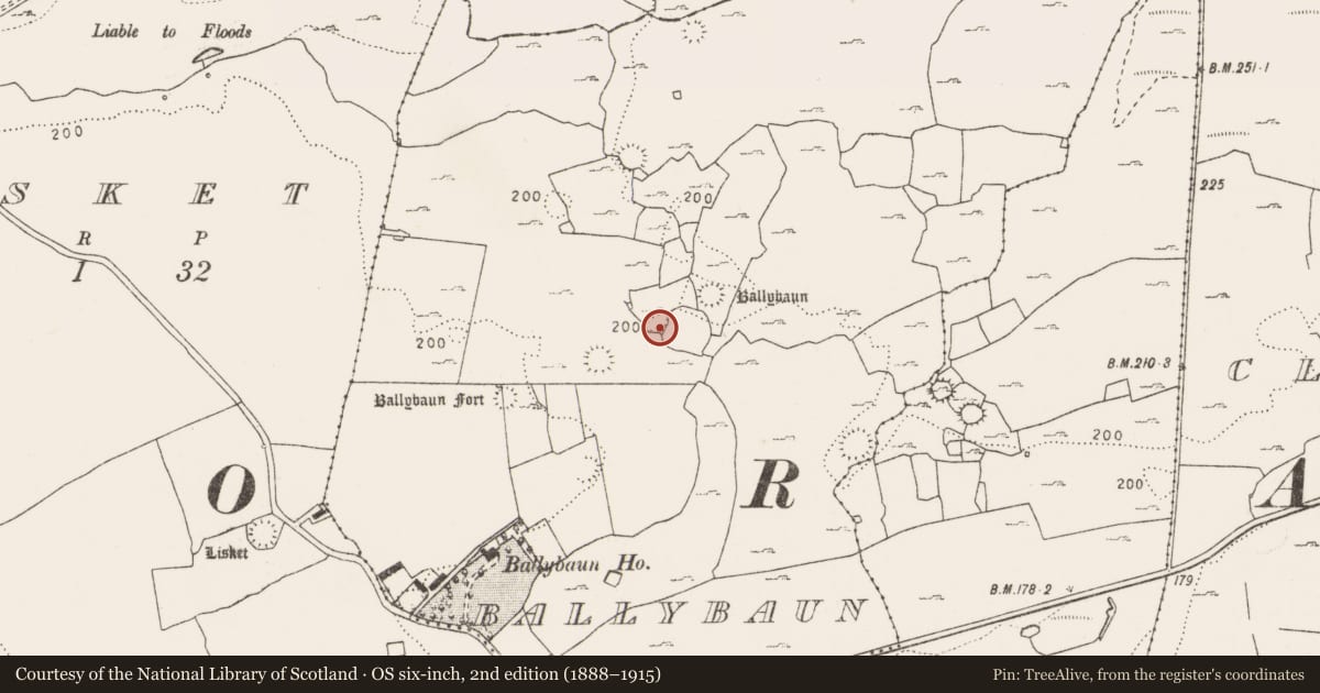 Ordnance Survey six-inch map, 2nd edition (1888–1915) covering the location of Enclosure, Ballybaun, County Clare, with a pin at the register's coordinates