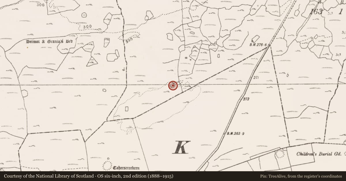 Ordnance Survey six-inch map, 2nd edition (1888–1915) covering the location of Ringfort - cashel, Sheshymore, County Clare, with a pin at the register's coordinates