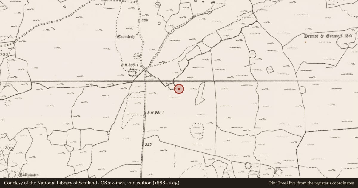 Ordnance Survey six-inch map, 2nd edition (1888–1915) covering the location of Field system, Clooneen, County Clare, with a pin at the register's coordinates
