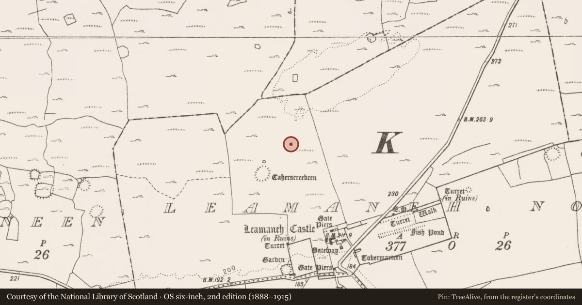 Ordnance Survey six-inch map, 2nd edition (1888–1915) covering the location of Megalithic tomb - court tomb, Leamaneh North, County Clare, with a pin at the register's coordinates