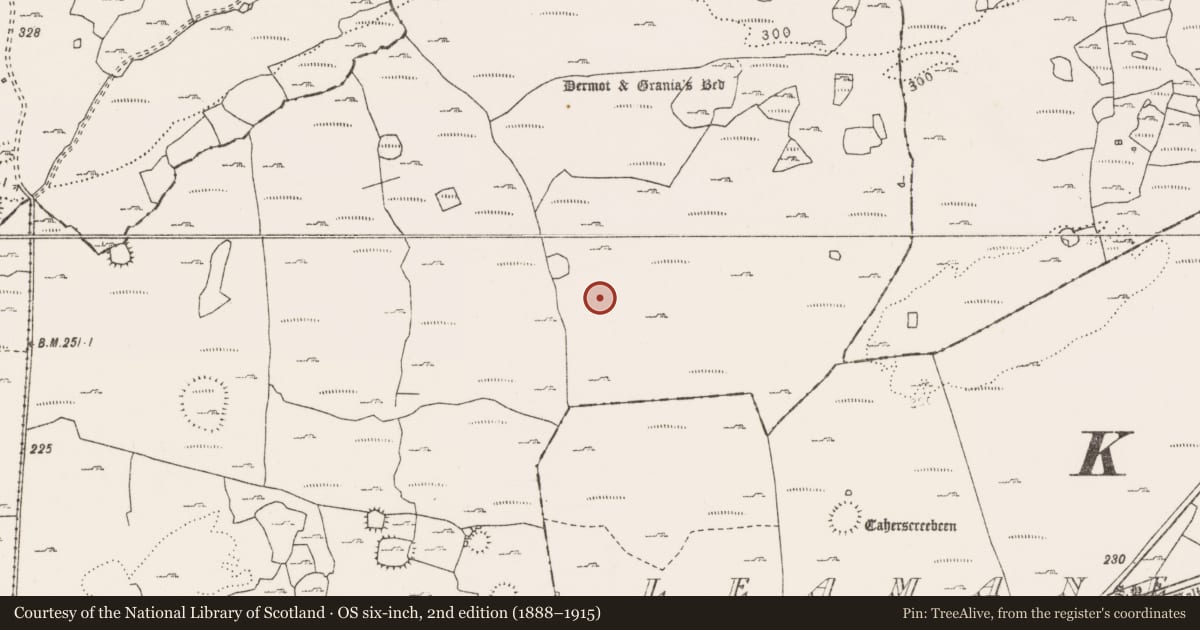 Ordnance Survey six-inch map, 2nd edition (1888–1915) covering the location of Megalithic tomb - wedge tomb, Clooneen, County Clare, with a pin at the register's coordinates