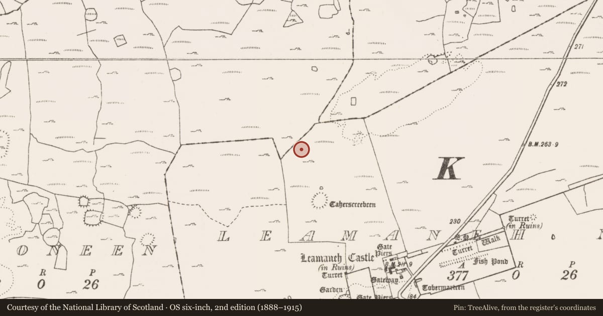 Ordnance Survey six-inch map, 2nd edition (1888–1915) covering the location of Ringfort - cashel, Leamaneh North, County Clare, with a pin at the register's coordinates