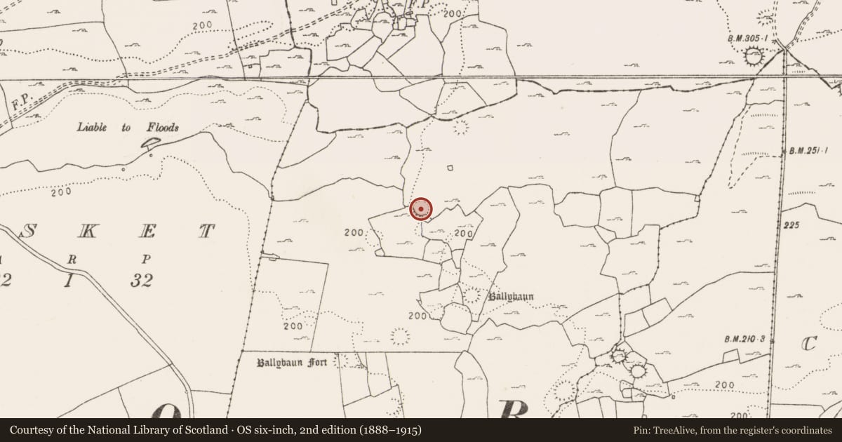 Ordnance Survey six-inch map, 2nd edition (1888–1915) covering the location of House - indeterminate date, Ballybaun, County Clare, with a pin at the register's coordinates