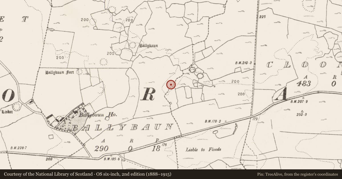 Ordnance Survey six-inch map, 2nd edition (1888–1915) covering the location of Souterrain, Ballybaun, County Clare, with a pin at the register's coordinates