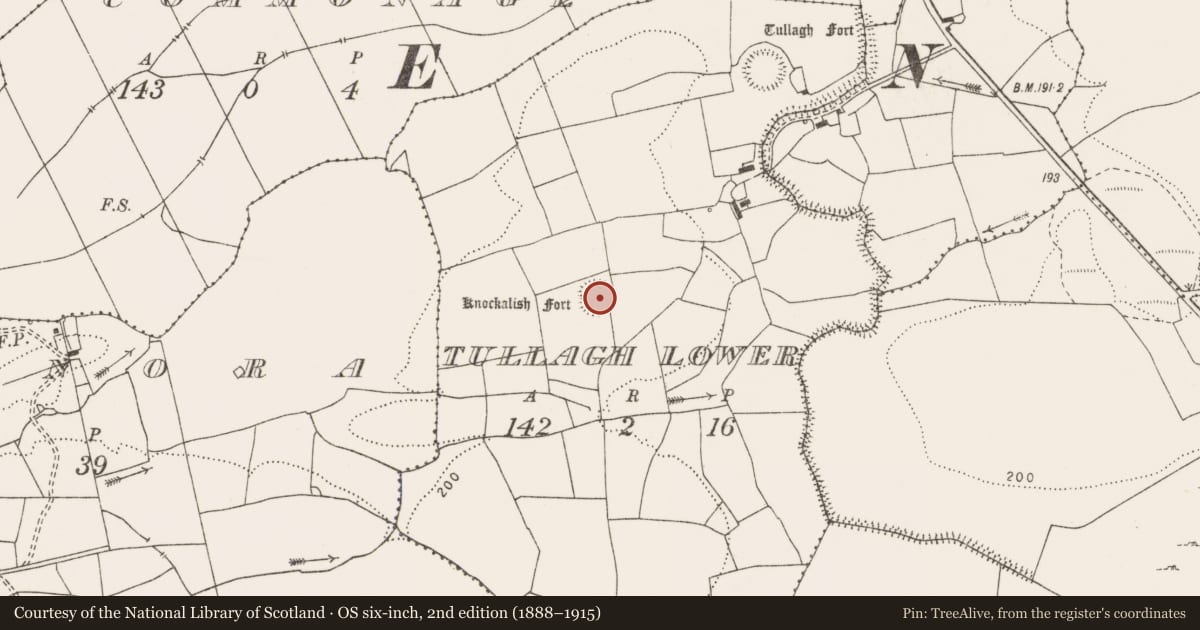 Ordnance Survey six-inch map, 2nd edition (1888–1915) covering the location of Ringfort - rath, Tullagh Lower, County Clare, with a pin at the register's coordinates