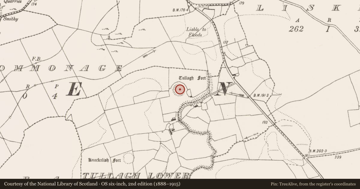 Ordnance Survey six-inch map, 2nd edition (1888–1915) covering the location of Ringfort - rath, Tullagh Lower, County Clare, with a pin at the register's coordinates