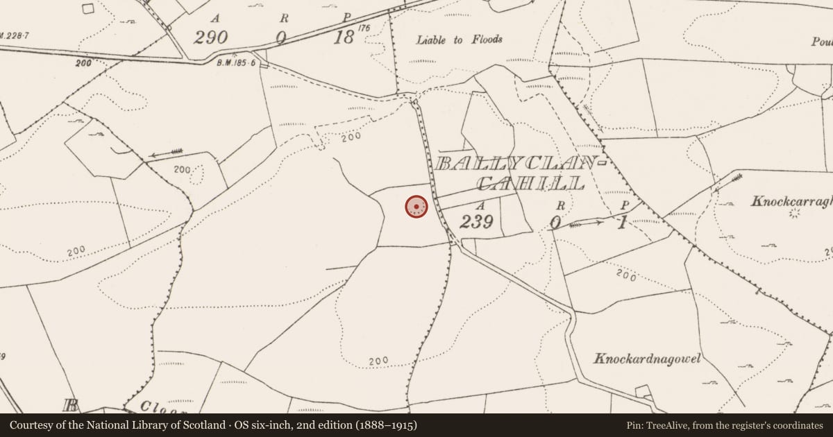 Ordnance Survey six-inch map, 2nd edition (1888–1915) covering the location of Ringfort - rath, Ballybaun, County Clare, with a pin at the register's coordinates