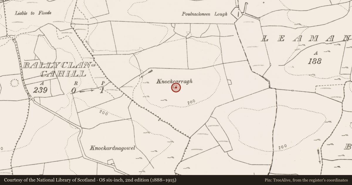 Ordnance Survey six-inch map, 2nd edition (1888–1915) covering the location of Barrow - unclassified, Clooneen, County Clare, with a pin at the register's coordinates