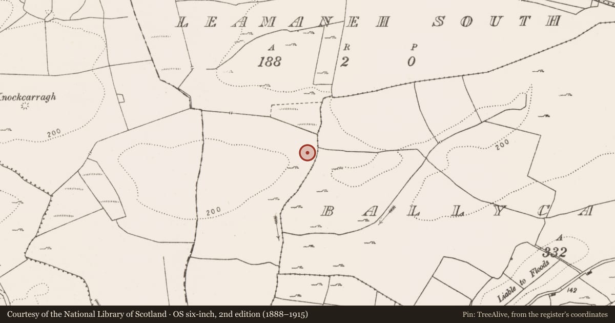 Ordnance Survey six-inch map, 2nd edition (1888–1915) covering the location of Barrow - ring-barrow, Leamaneh South, County Clare, with a pin at the register's coordinates