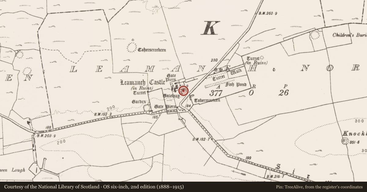 Ordnance Survey six-inch map, 2nd edition (1888–1915) covering the location of Castle - tower house, Leamaneh North, County Clare, with a pin at the register's coordinates
