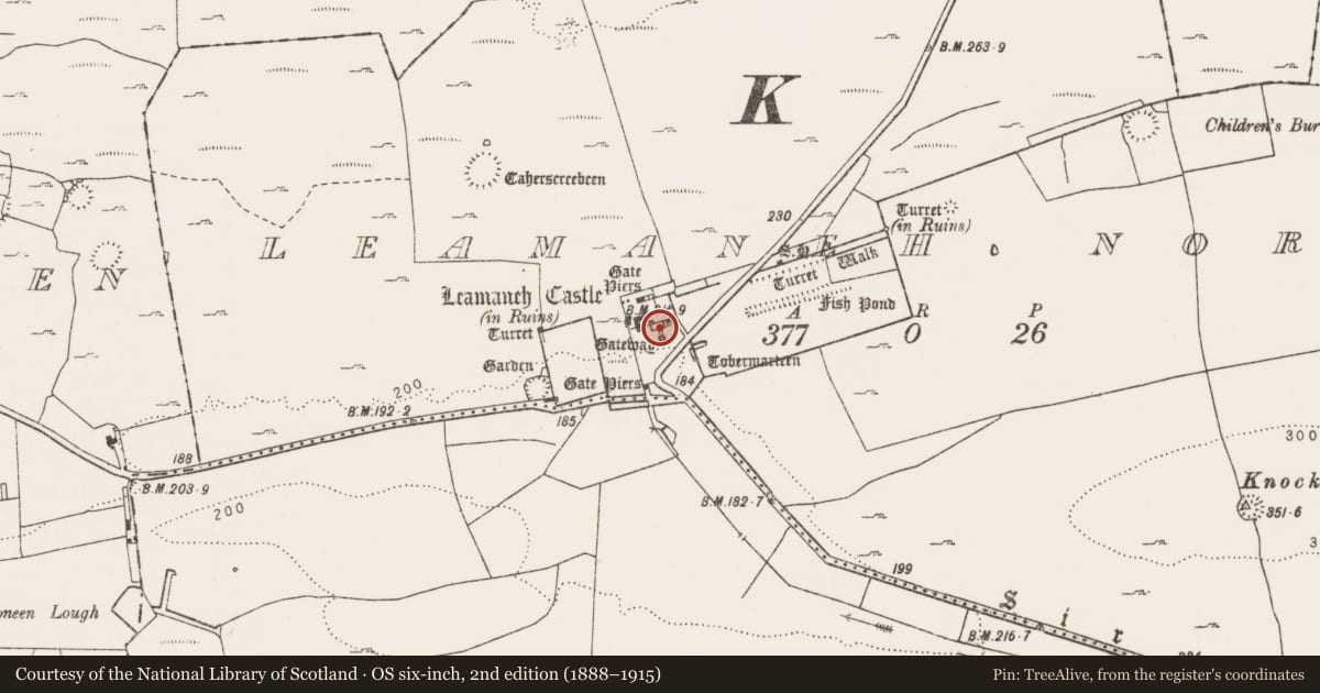 Ordnance Survey six-inch map, 2nd edition (1888–1915) covering the location of House - fortified house, Leamaneh North, County Clare, with a pin at the register's coordinates