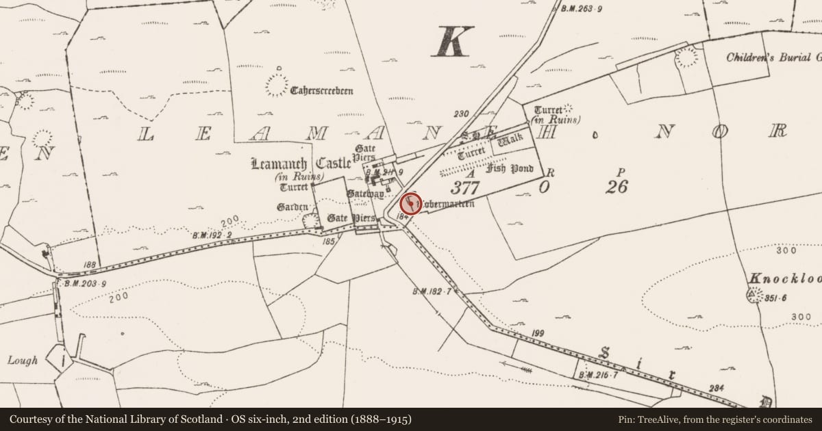 Ordnance Survey six-inch map, 2nd edition (1888–1915) covering the location of Ritual site - holy well, Leamaneh North, County Clare, with a pin at the register's coordinates