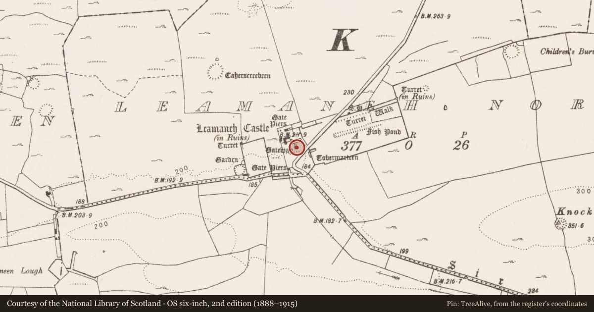 Ordnance Survey six-inch map, 2nd edition (1888–1915) covering the location of Gateway, Leamaneh North, County Clare, with a pin at the register's coordinates