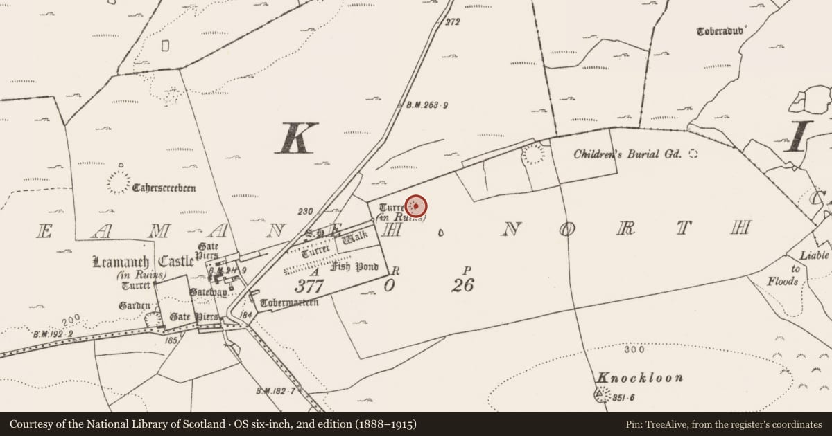 Ordnance Survey six-inch map, 2nd edition (1888–1915) covering the location of Cairn - unclassified, Leamaneh North, County Clare, with a pin at the register's coordinates