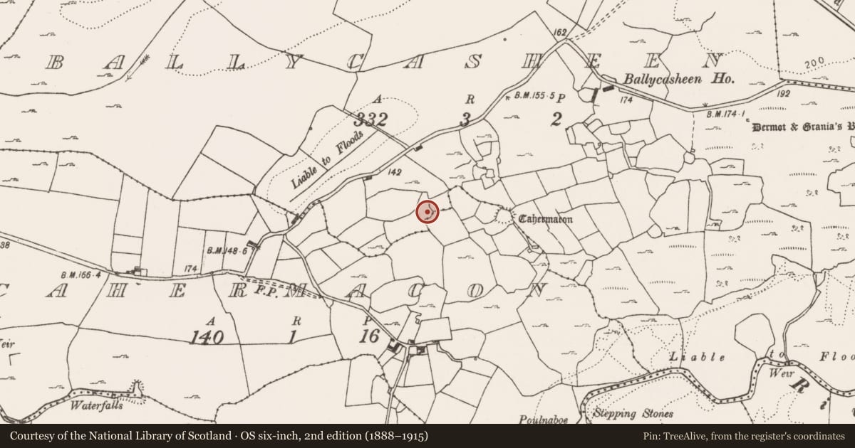 Ordnance Survey six-inch map, 2nd edition (1888–1915) covering the location of Ringfort - cashel, Ballycasheen, County Clare, with a pin at the register's coordinates