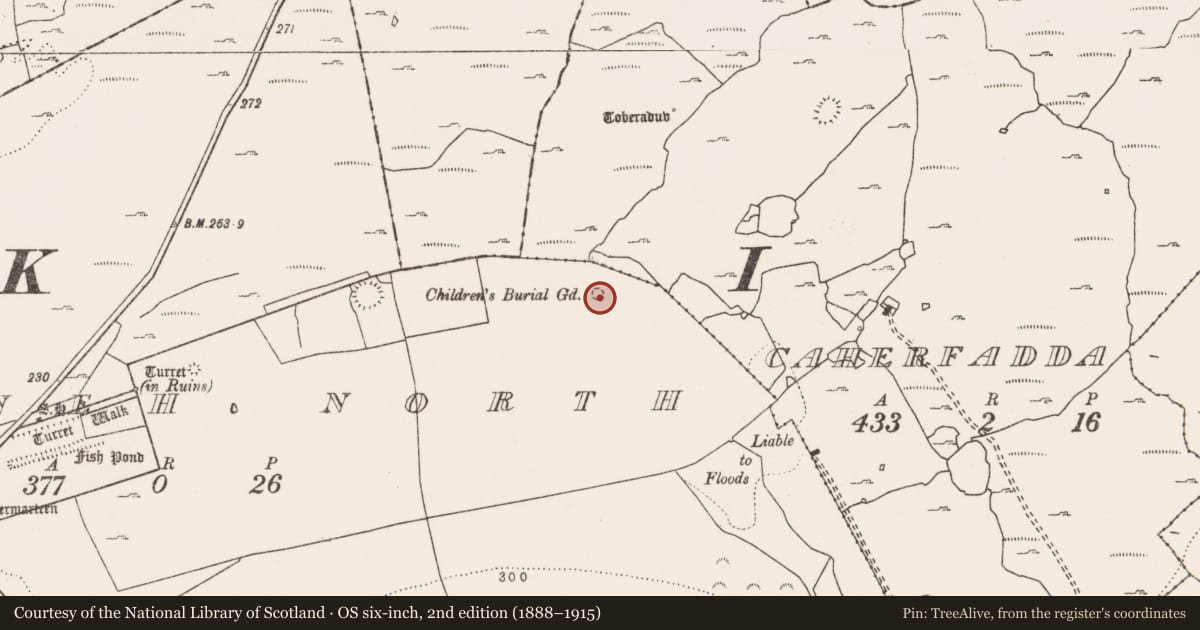 Ordnance Survey six-inch map, 2nd edition (1888–1915) covering the location of Children's burial ground, Leamaneh North, County Clare, with a pin at the register's coordinates