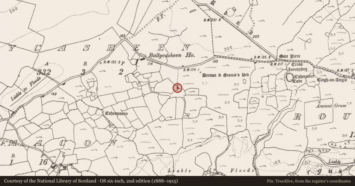 Ordnance Survey six-inch map, 2nd edition (1888–1915) covering the location of Ringfort - cashel, Ballycasheen, County Clare, with a pin at the register's coordinates