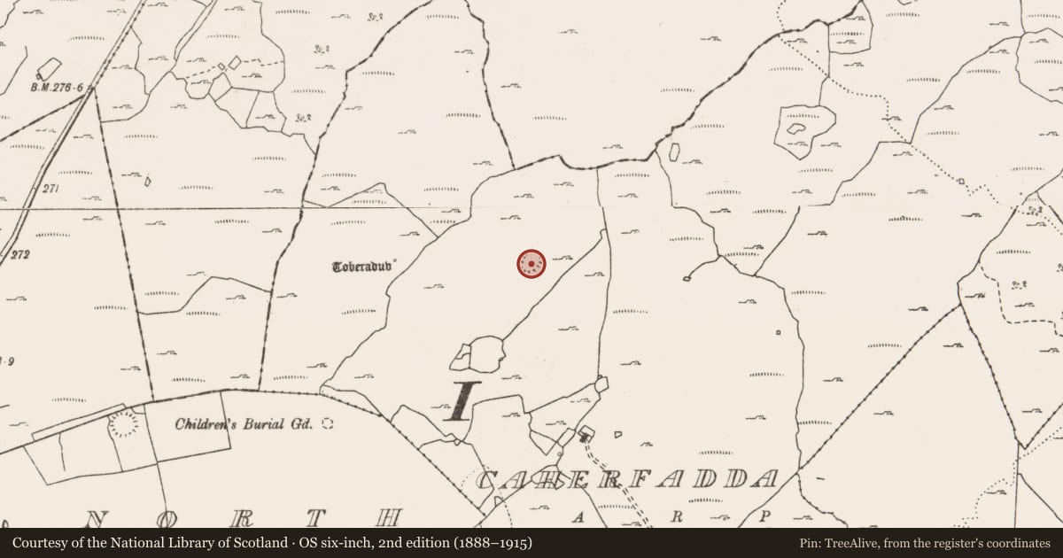 Ordnance Survey six-inch map, 2nd edition (1888–1915) covering the location of Ringfort - cashel, Caherfadda, County Clare, with a pin at the register's coordinates