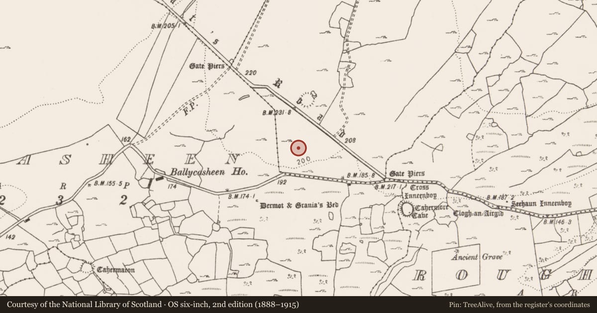 Ordnance Survey six-inch map, 2nd edition (1888–1915) covering the location of Hut site, Caherfadda, County Clare, with a pin at the register's coordinates
