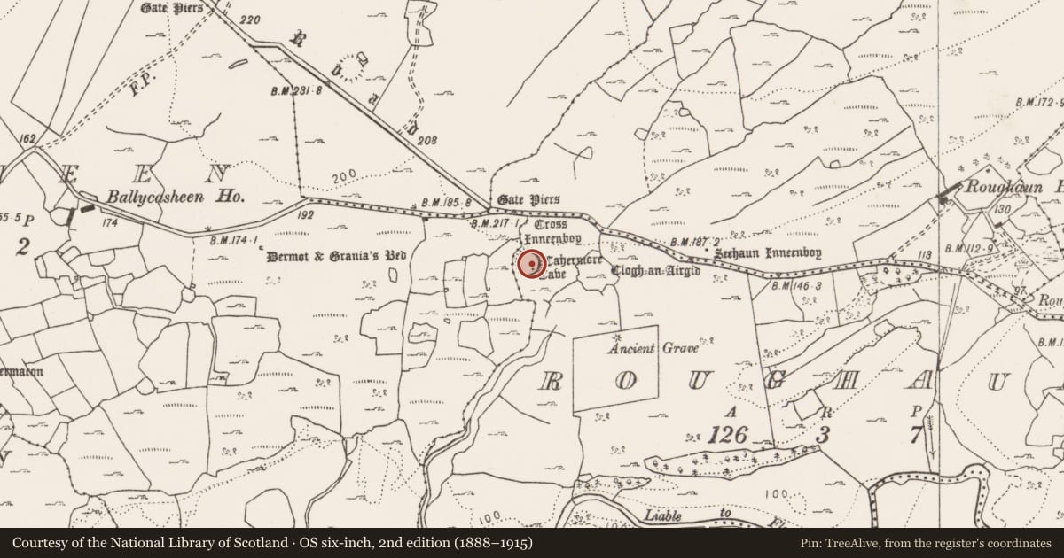 Ordnance Survey six-inch map, 2nd edition (1888–1915) covering the location of Ringfort - cashel, Roughaun, County Clare, with a pin at the register's coordinates