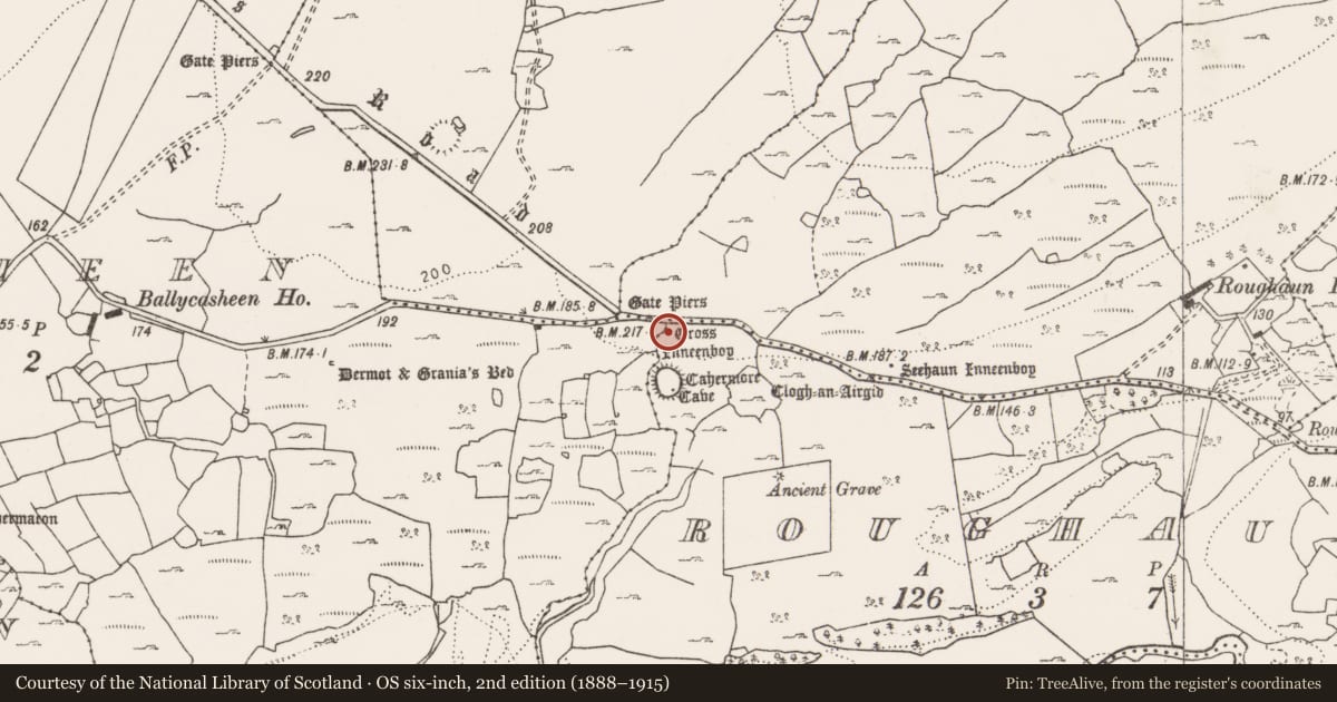 Ordnance Survey six-inch map, 2nd edition (1888–1915) covering the location of Cross, Roughan, County Clare, with a pin at the register's coordinates