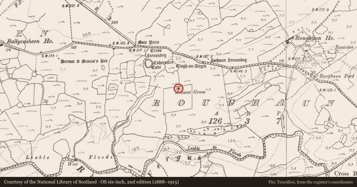 Ordnance Survey six-inch map, 2nd edition (1888–1915) covering the location of Cairn - unclassified, Roughaun, County Clare, with a pin at the register's coordinates