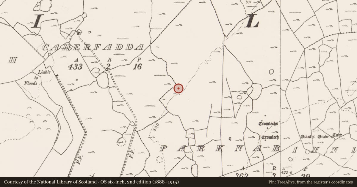 Ordnance Survey six-inch map, 2nd edition (1888–1915) covering the location of Megalithic tomb - wedge tomb, Parknabinnia, County Clare, with a pin at the register's coordinates