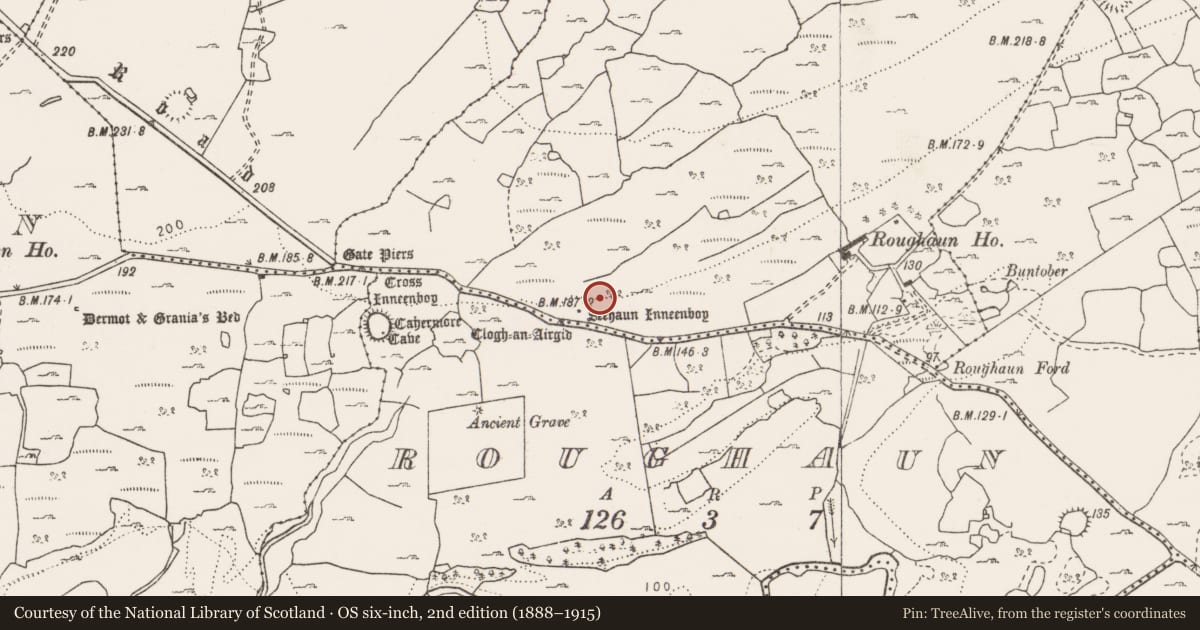 Ordnance Survey six-inch map, 2nd edition (1888–1915) covering the location of Penitential station, Parknabinnia, County Clare, with a pin at the register's coordinates