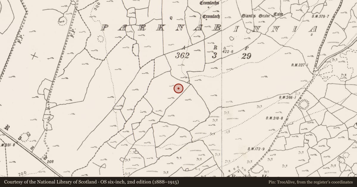 Ordnance Survey six-inch map, 2nd edition (1888–1915) covering the location of Cairn - unclassified, Parknabinnia, County Clare, with a pin at the register's coordinates
