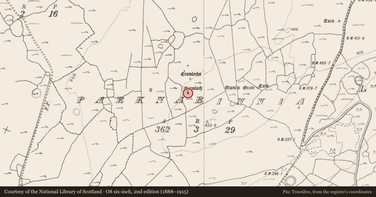Ordnance Survey six-inch map, 2nd edition (1888–1915) covering the location of Megalithic tomb - wedge tomb, Parknabinnia, County Clare, with a pin at the register's coordinates